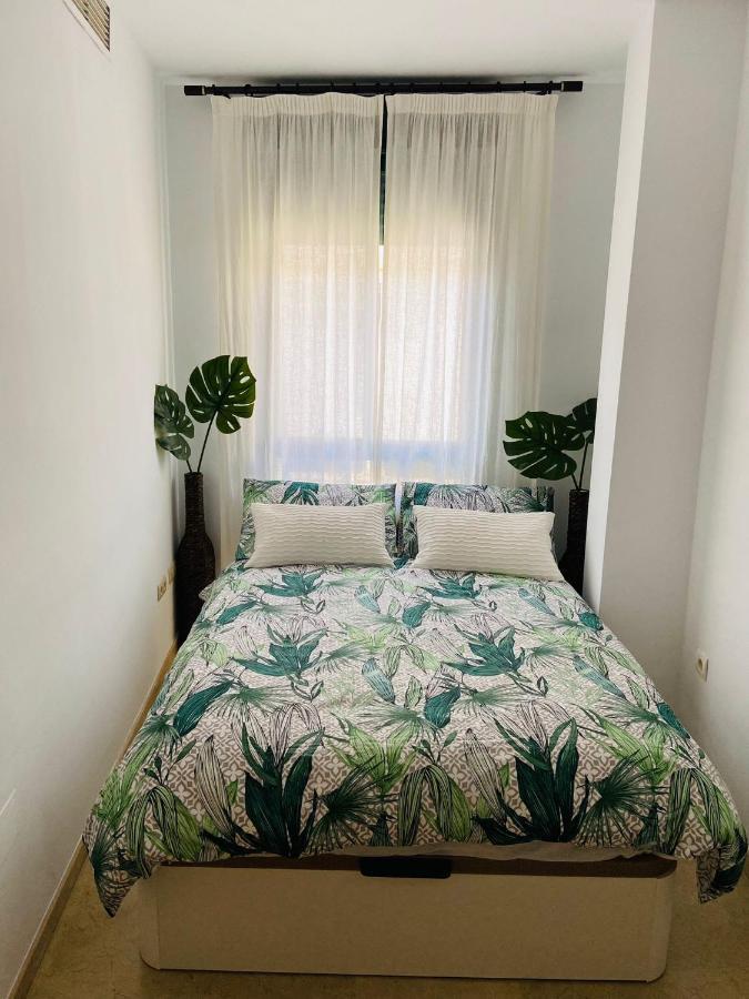 Paloma Suite Solarium Centro Historico マラガ エクステリア 写真