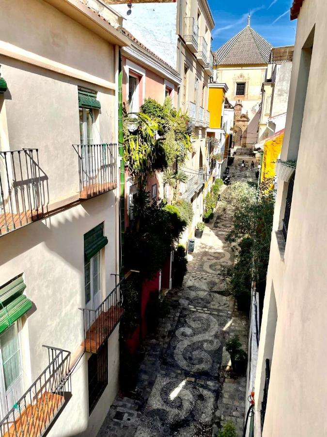 Paloma Suite Solarium Centro Historico マラガ エクステリア 写真
